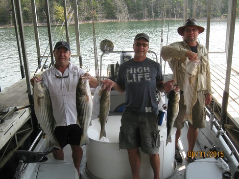 Nice Striped Bass